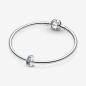 CHARM CLIP STELLE MARINE E CONCHIGLIE TROPICALI CHARM CLIP STELLE MARINE E CONCHIGLIE TROPICALI