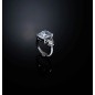 ANELLO TRILOGY MIS.12 DONNA CHIARA FERRAGNI PRINCESS