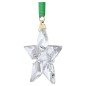 DECORAZIONE ANNUAL EDITION 2023 LITTLE STAR SWAROVSKI DECORAZIONE ANNUAL EDITION 2023 LITTLE STAR SWAROVSKI
