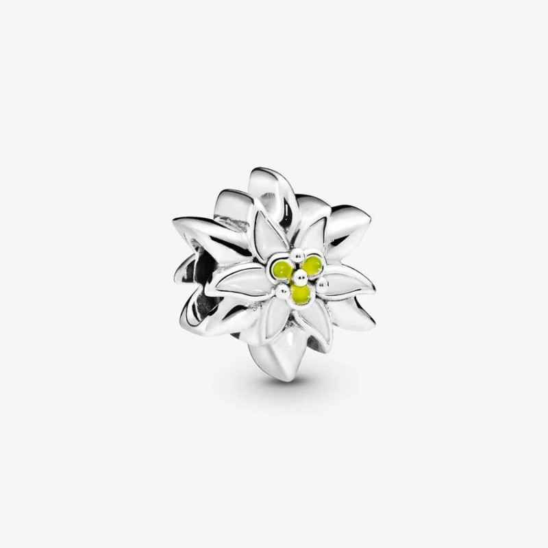 CHARM STELLA ALPINA DONNA PANDORA MOMENTS CHARM STELLA ALPINA DONNA PANDORA MOMENTS