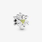 CHARM STELLA ALPINA DONNA PANDORA MOMENTS CHARM STELLA ALPINA DONNA PANDORA MOMENTS